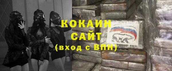 сатива Лагань