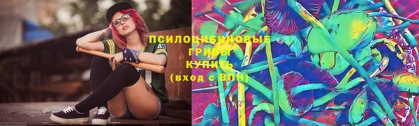 мдпв Куйбышев