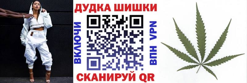 Купить где Новокузнецк Конопля план